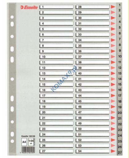 Przekładki do segregatora A4 54 karty PP Esselte