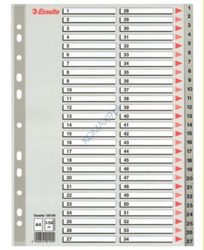 Przekładki do segregatora A4 54 karty PP Esselte