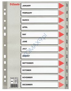 Przekładki do segregatora A4 12 kart PP Esselte plastikowe szare, 12 miesięcy 