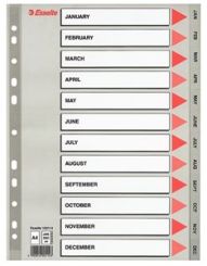 Przekładki do segregatora A4 12 kart PP Esselte plastikowe szare, 12 miesięcy 
