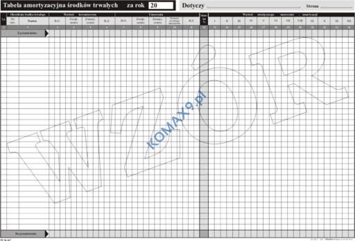 Druk Tabela amortyzacyjna środków trwałych A3 T02013 