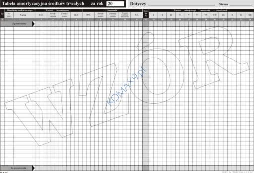Druk Tabela amortyzacyjna środków trwałych A3 T02013 