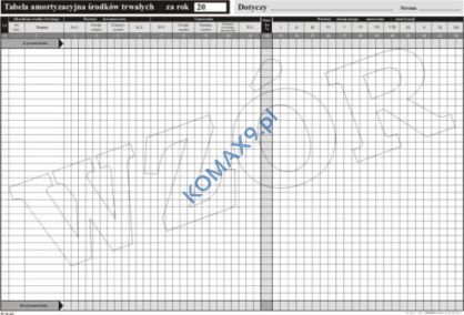Druk Tabela amortyzacyjna środków trwałych A3 T02013 