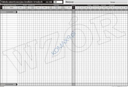 Druk Tabela amortyzacyjna środków trwałych A3 T02013 