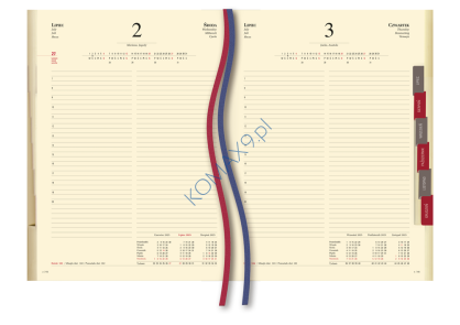 Kalendarz Stacjonarny T-229V, format A4, 464 str.